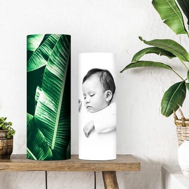 Lamp<sup>&reg;</sup>